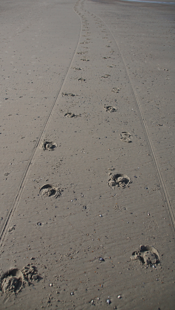 Wagenspuren am Strand