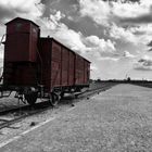 Waggon Birkenau