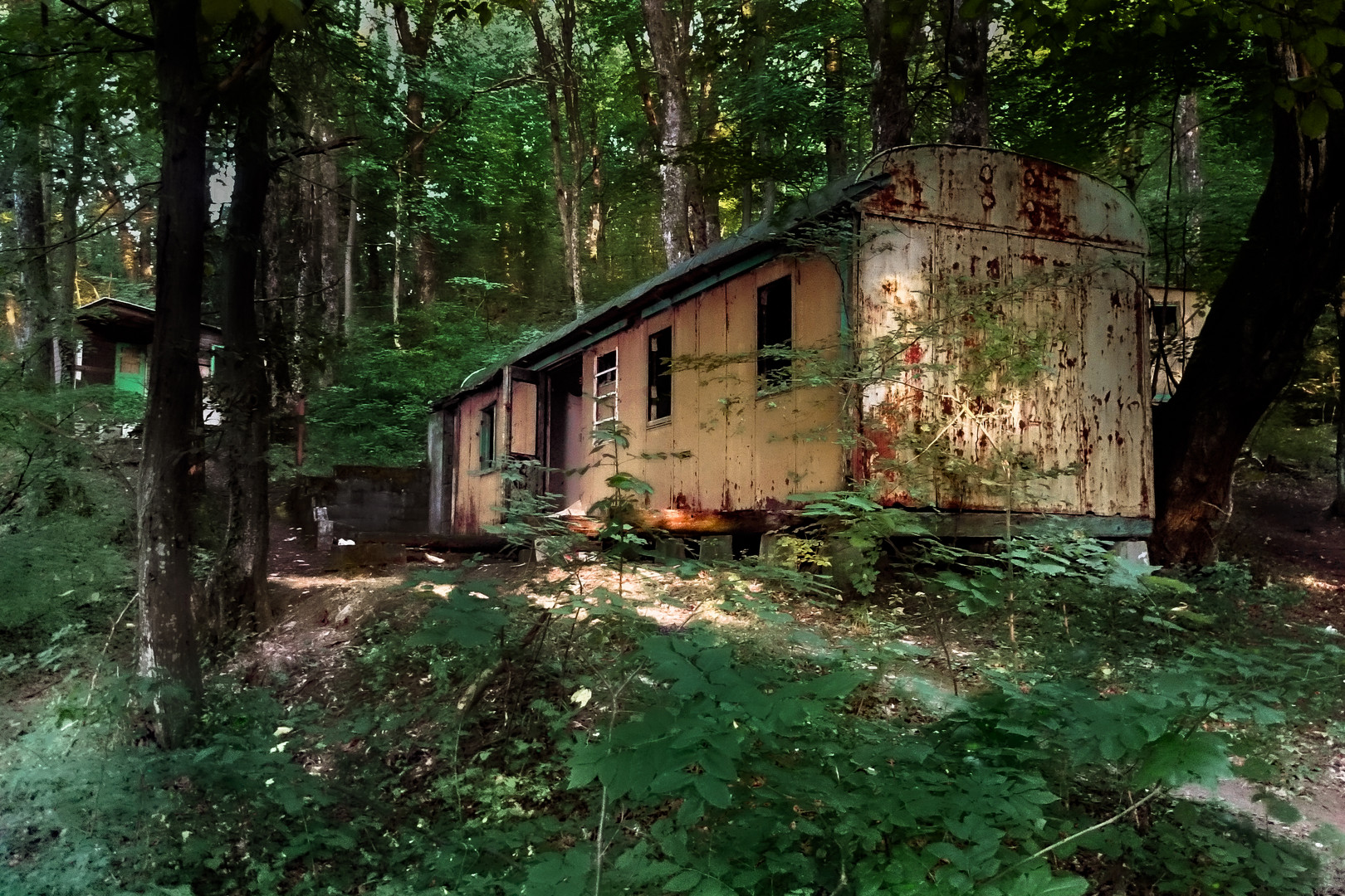 Waggon im Wald