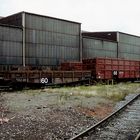 Waggons vor Halle