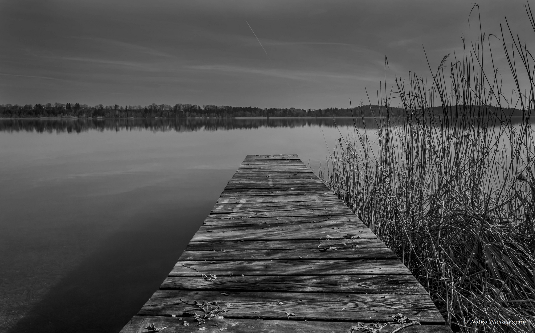 Waging am See Schwarz / Weiß Foto & Bild landschaft, bach, fluss
