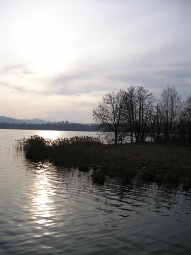 Waginger See