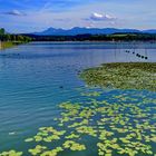 Waginger See, Bayern