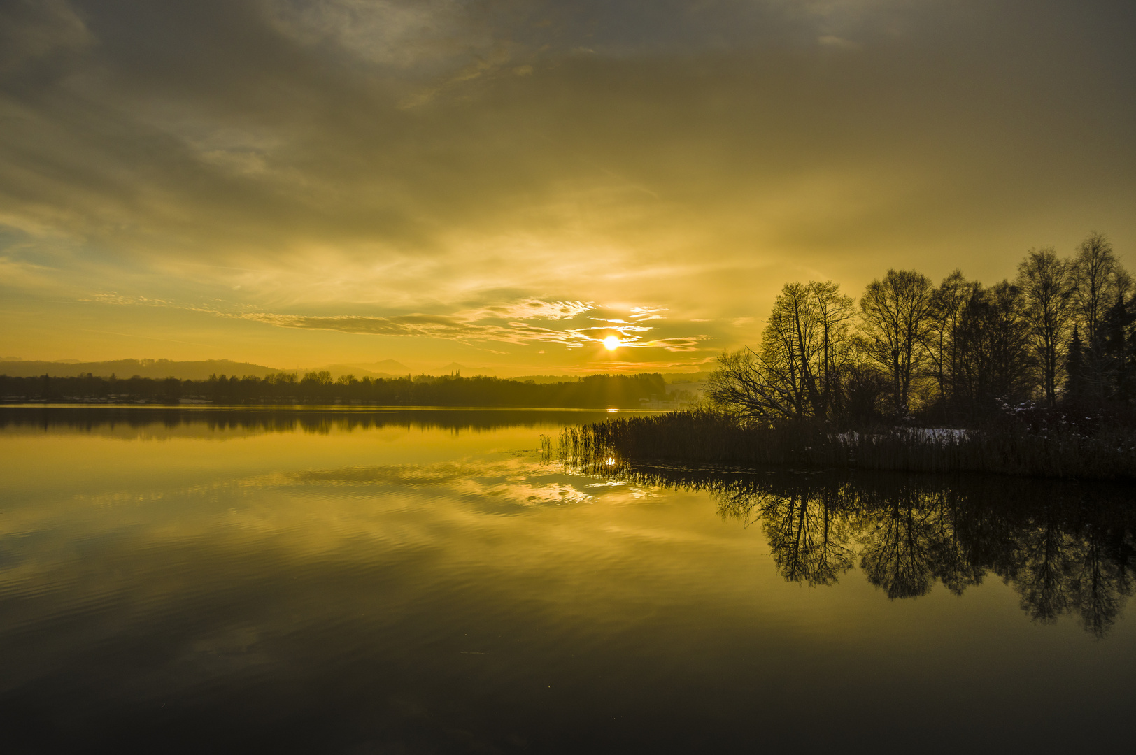 Waginger See im Licht