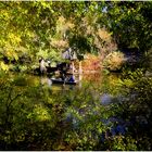 Wagner Cove - A Central Park Autumn Impression