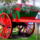 wagon of flowers