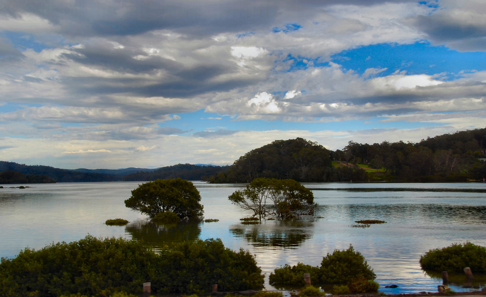 Wagonga Inlet