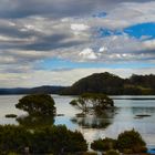 Wagonga Inlet