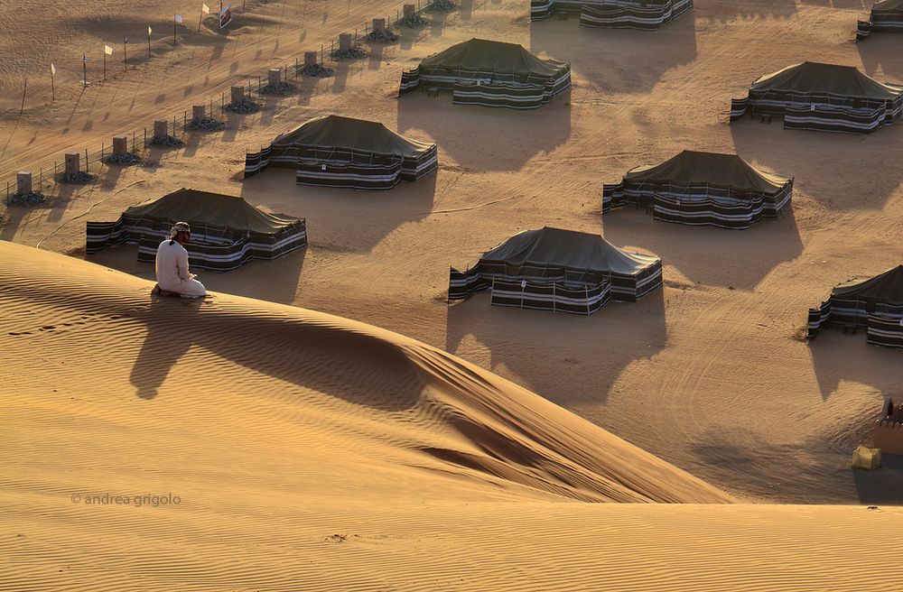 Wahabi Sands Arabian orix camp Foto Immagini asia, middle east, oman