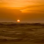 Wahiba Sand Wüste