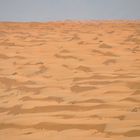 Wahiba Sands Desert