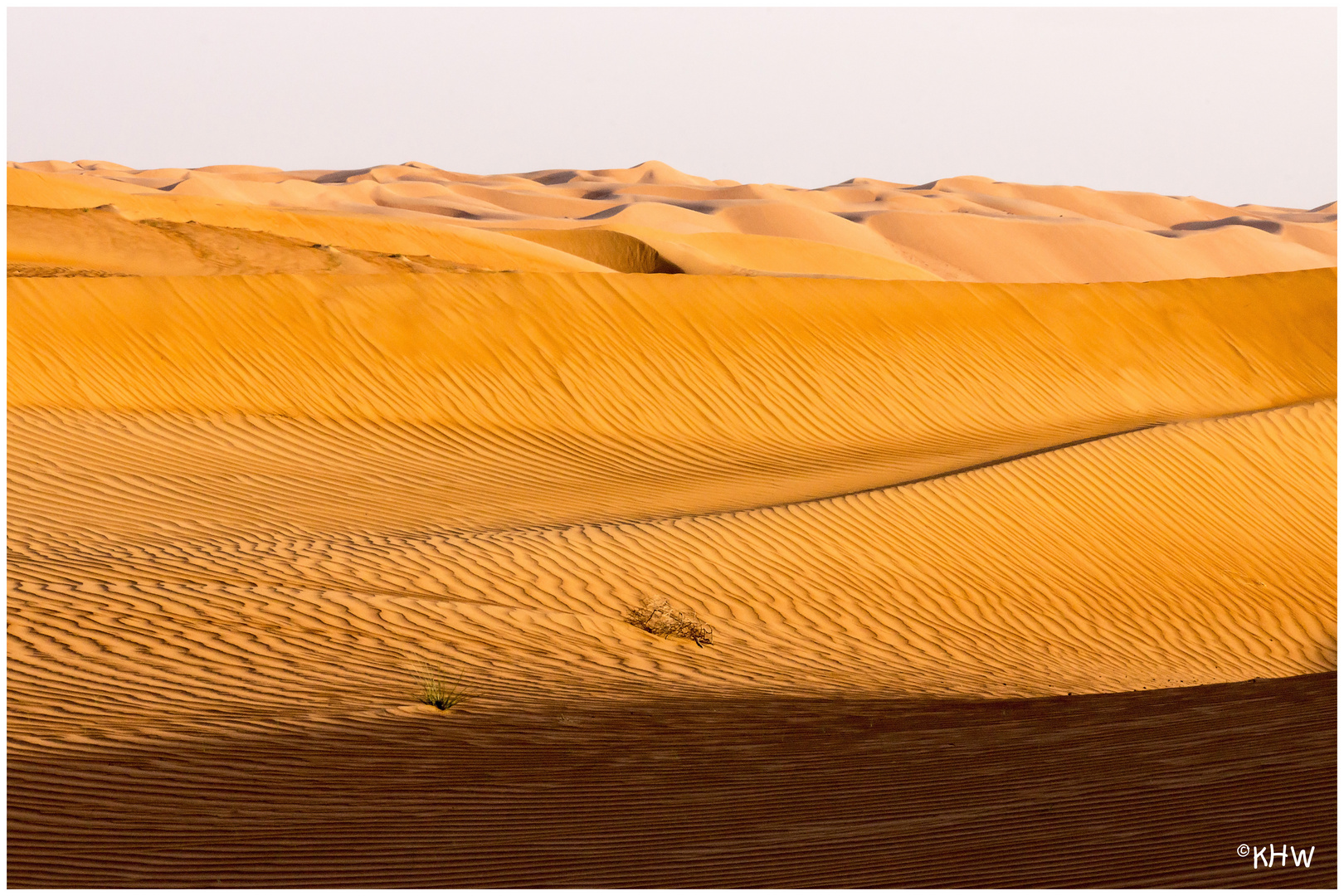 Wahiba Sands (Oman)