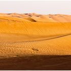 Wahiba Sands (Oman)