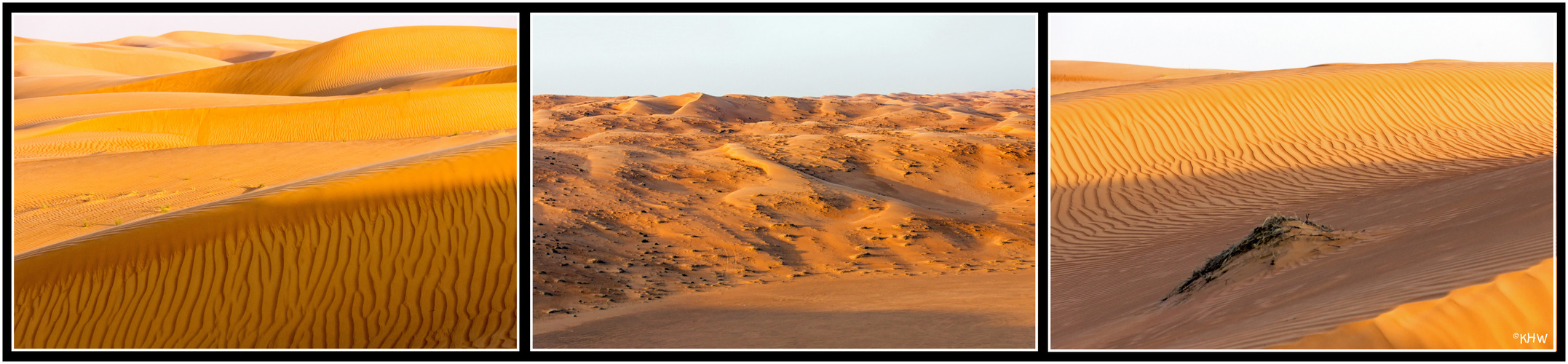 Wahiba Sands (Oman)