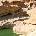 wahiba sands wadi