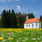 "Wahlfahrtskirche Maria Stock" in Fuchstal (Bayern)