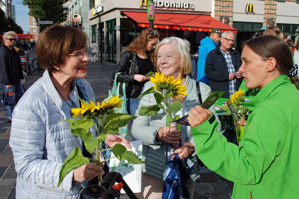 Wahlkampf der Grünen in Rostock