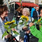 Wahlkampf der Grünen in Rostock