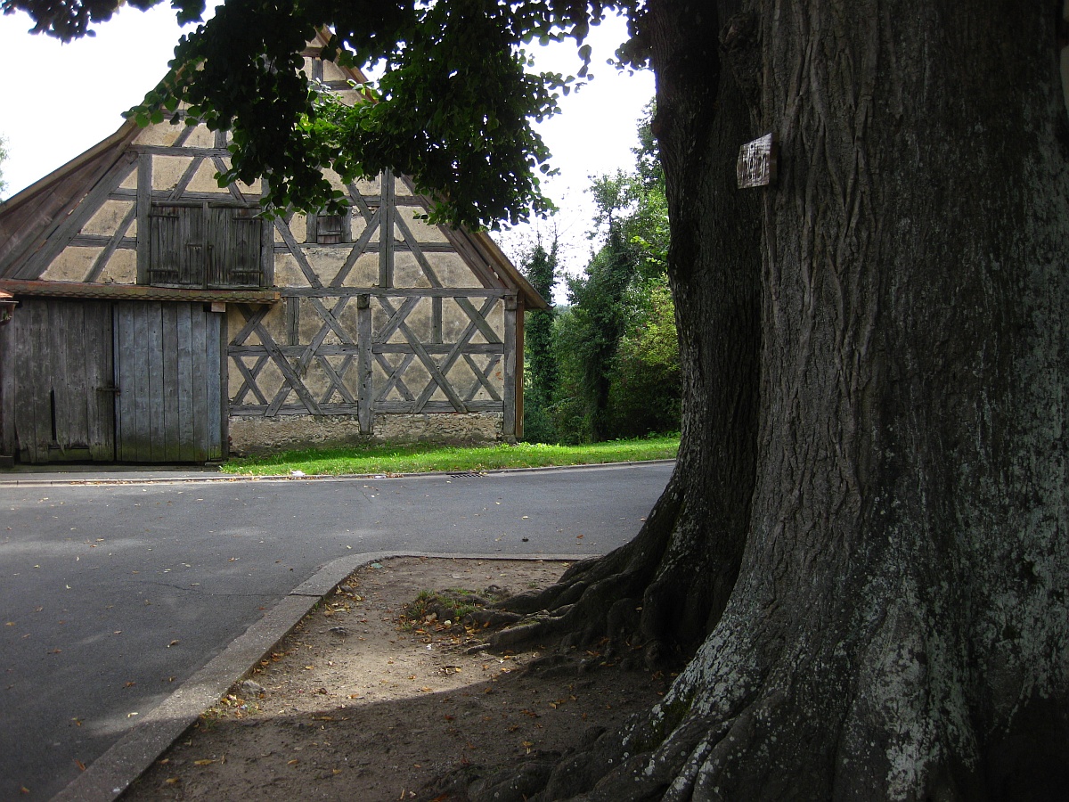 Wahlkampffreie Zone