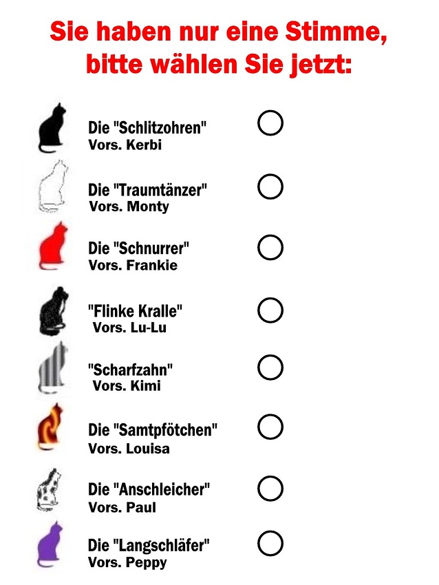 Wahlschein