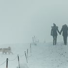 Wahn des Alltags: Hundespaziergang bei jedem Wetter