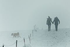 Wahn des Alltags: Hundespaziergang bei jedem Wetter