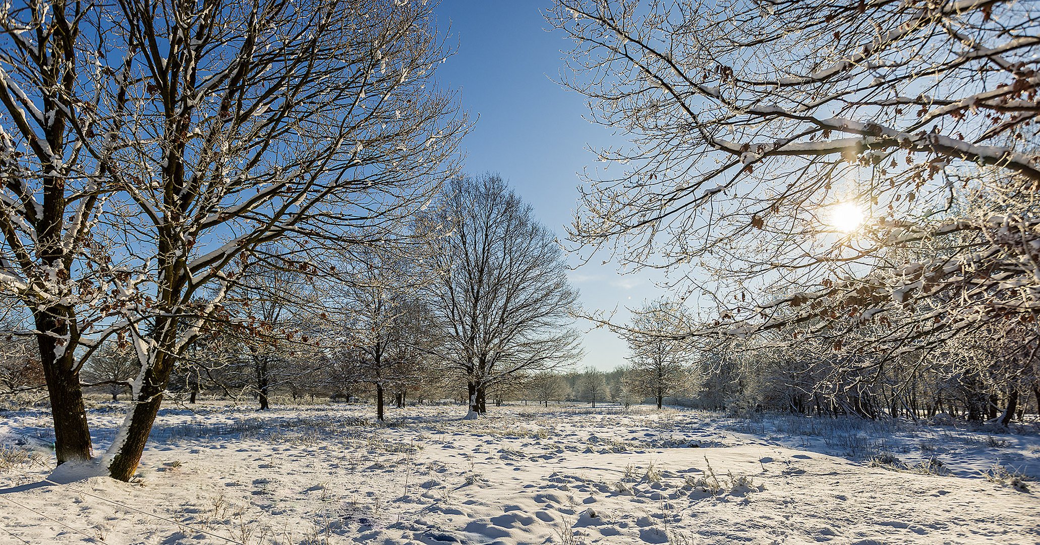 Wahner Heide