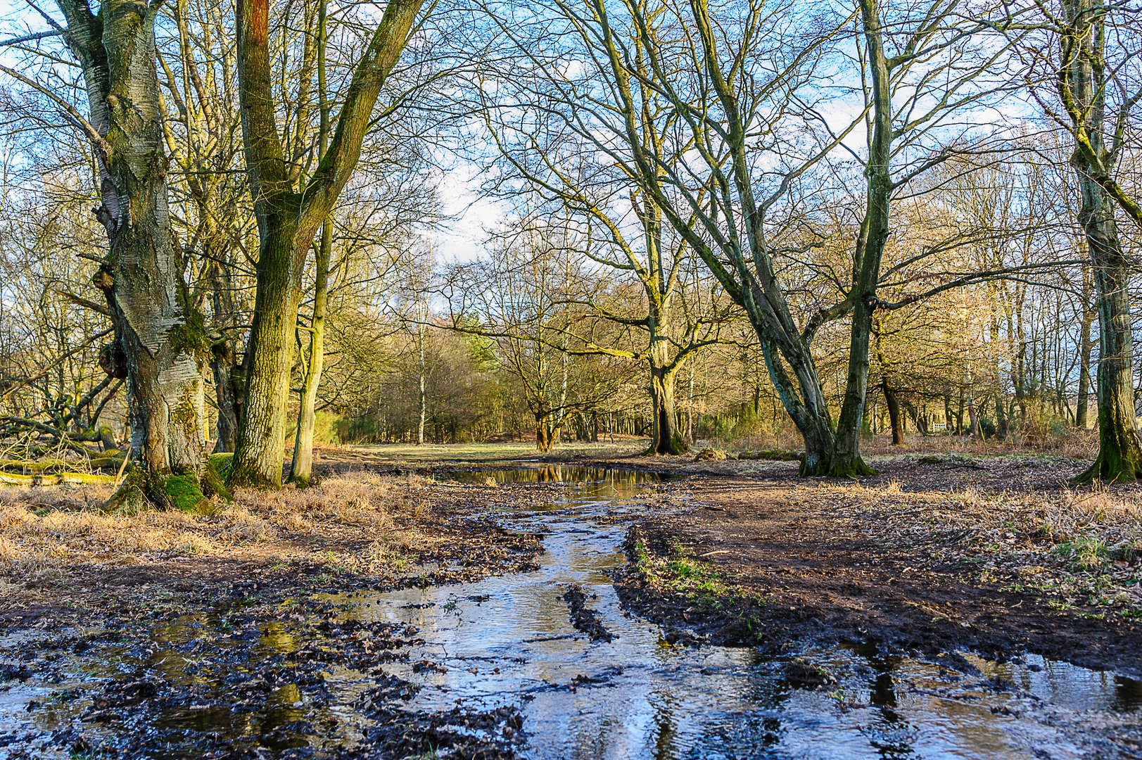 Wahner Heide 2018 März 1