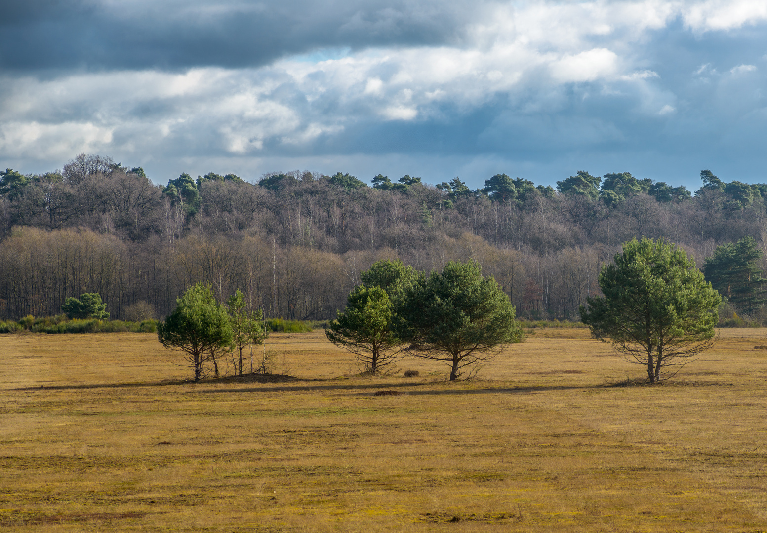 Wahner Heide