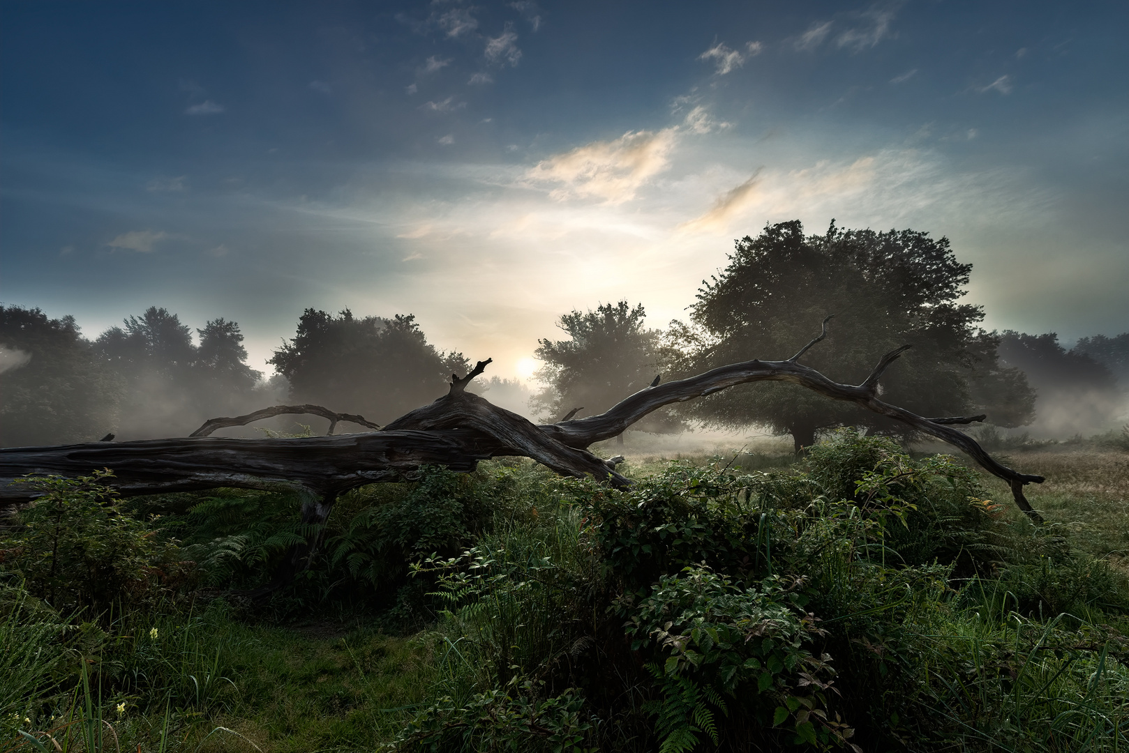 Wahner Heide