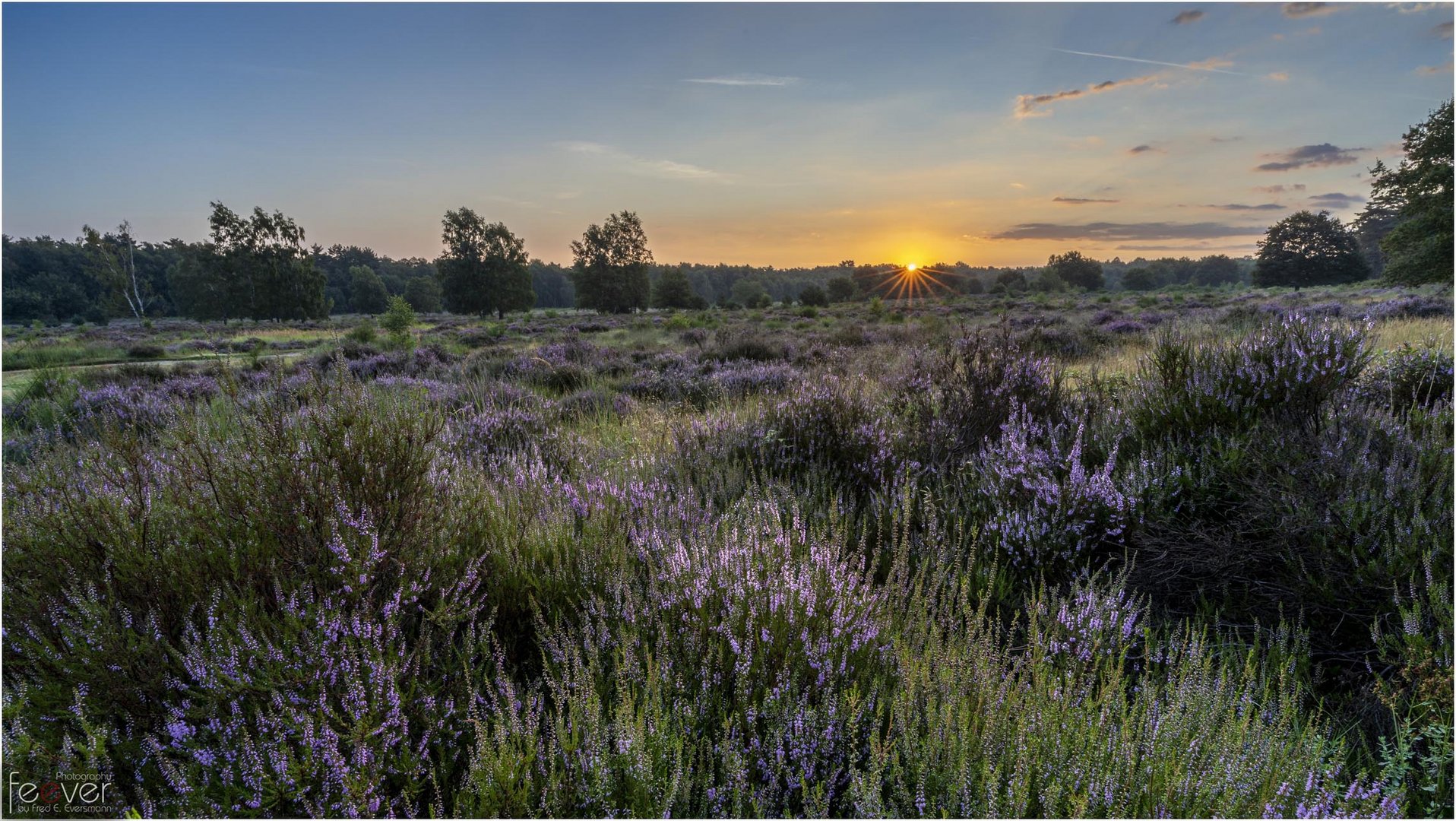 Wahner Heide 5:29