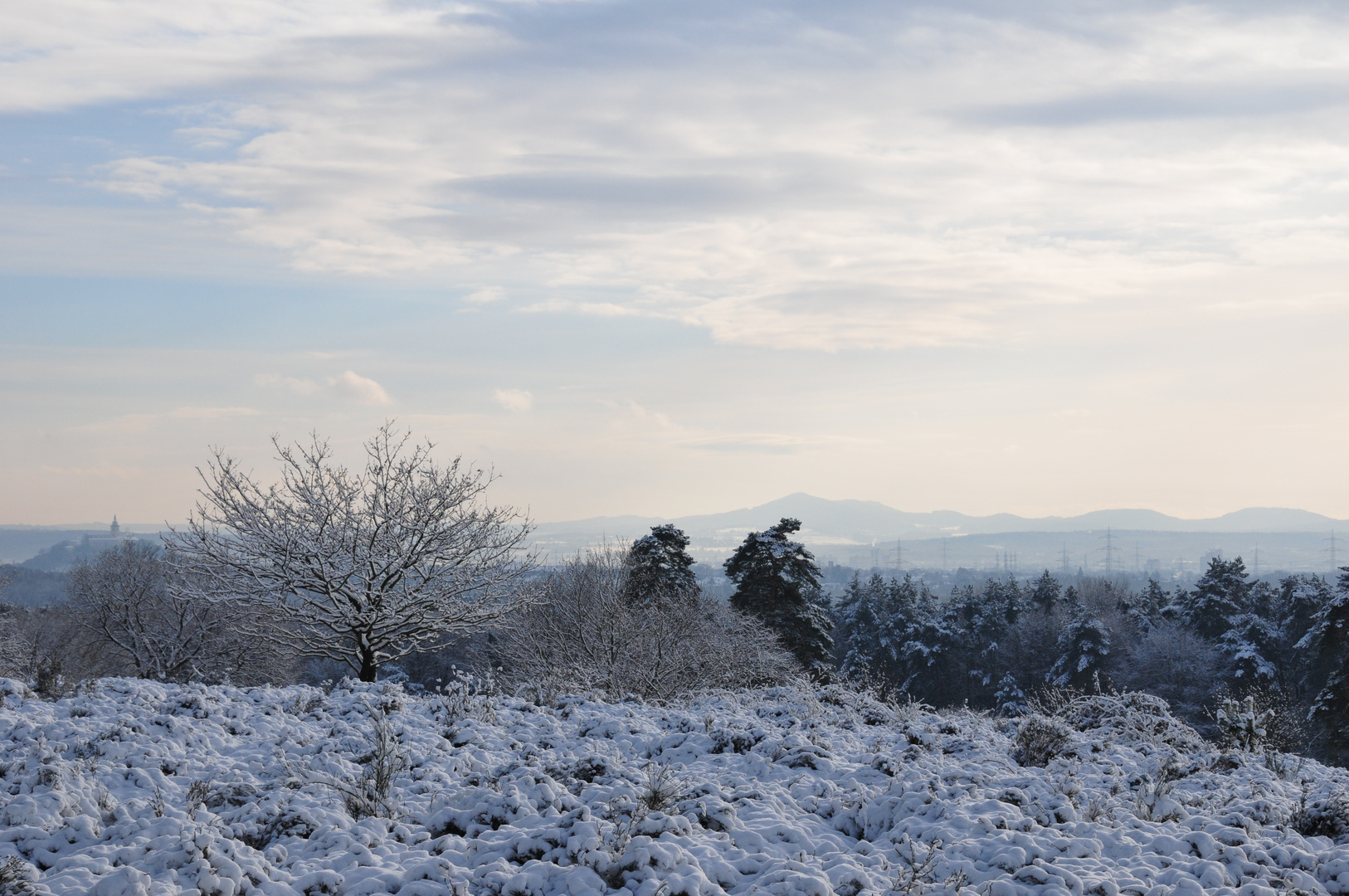 Wahner Heide