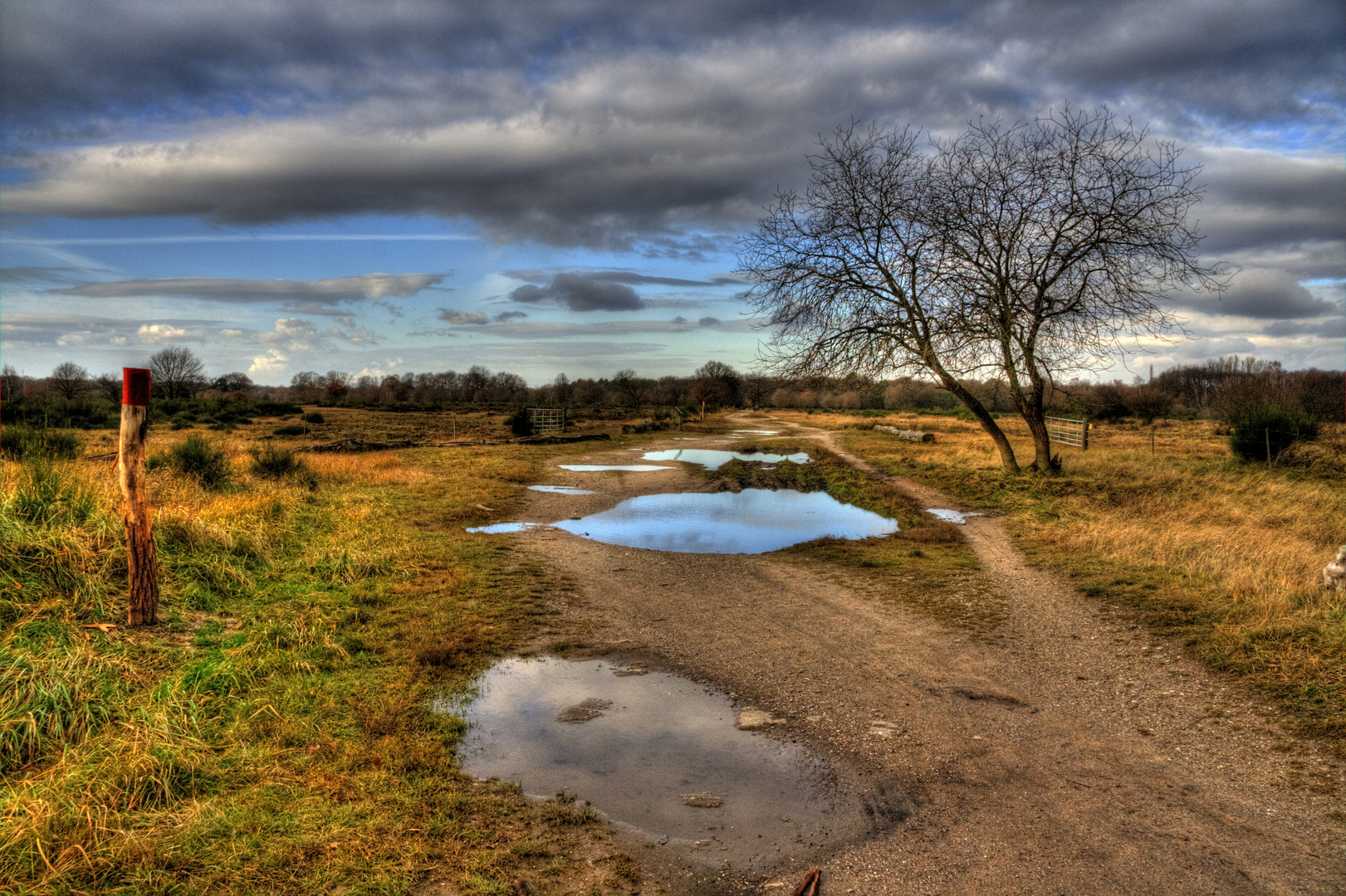 Wahner Heide