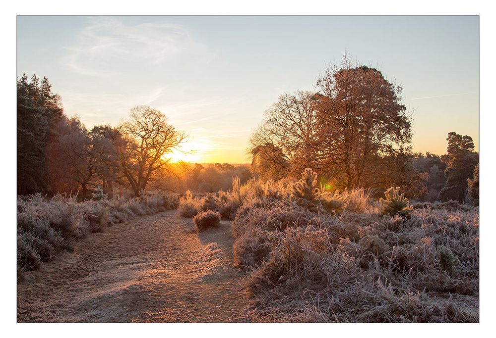 Wahner Heide am frühen Morgen