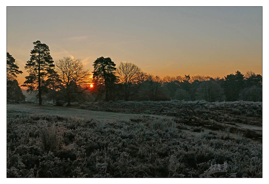 Wahner Heide bei Sonnenaufgang