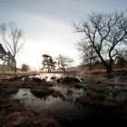 Wahner Heide bei Troisdorf