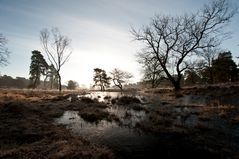 Wahner Heide bei Troisdorf