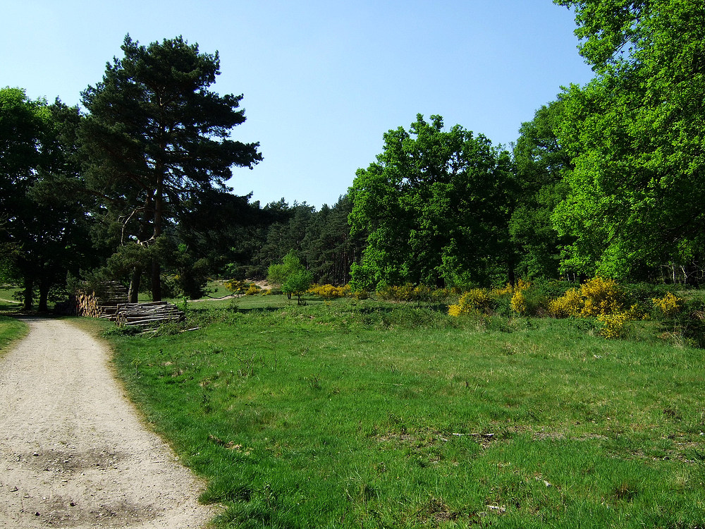 Wahner Heide