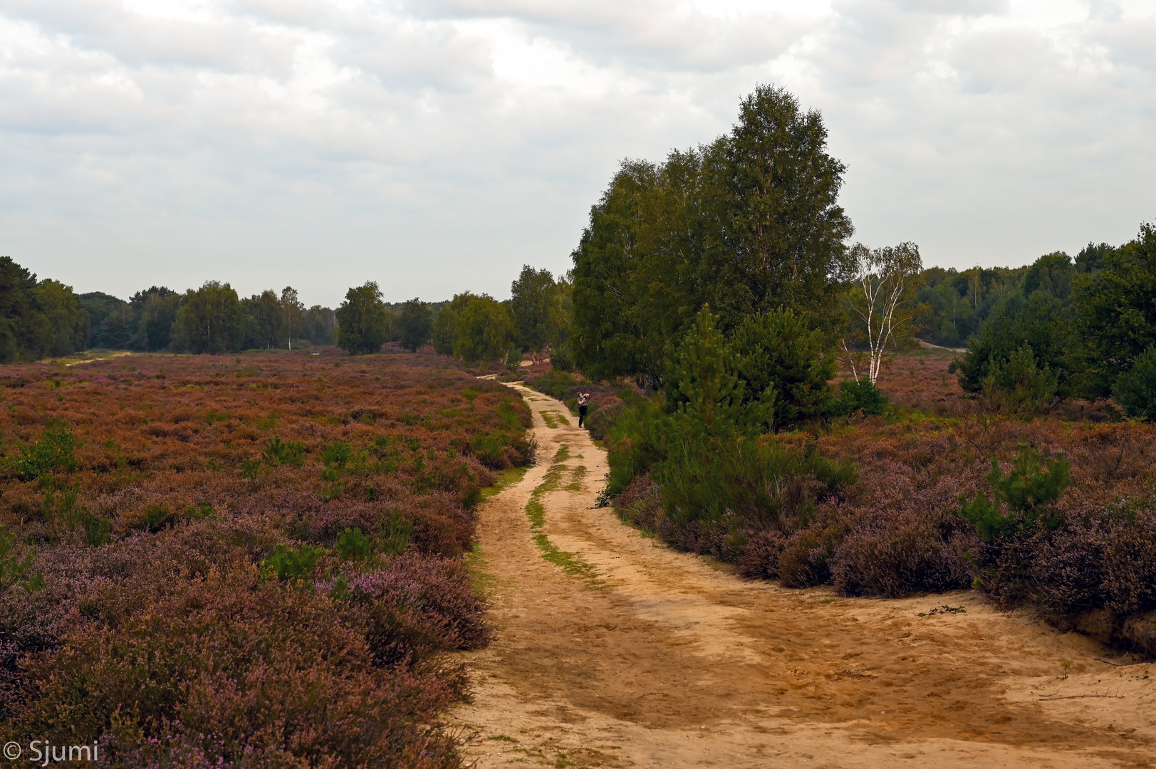 Wahner Heide