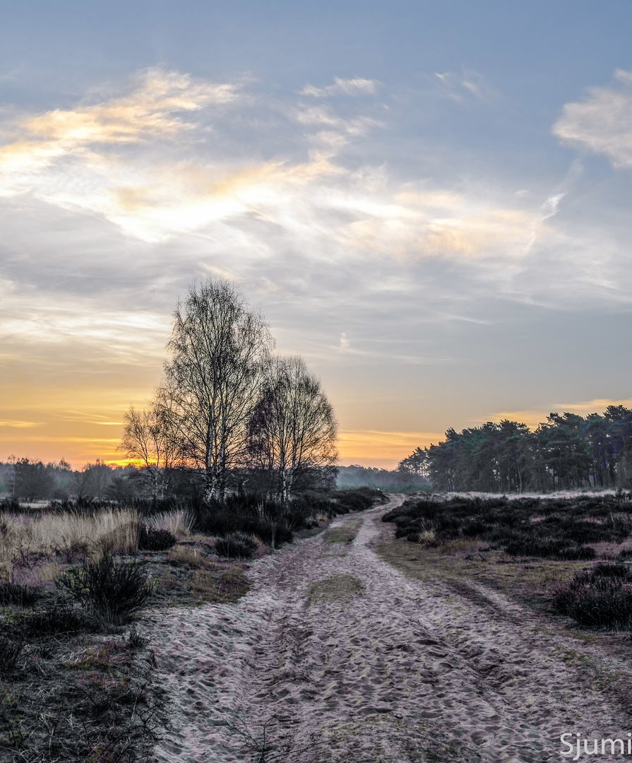 Wahner Heide Foto & Bild landschaft, heide, natur Bilder auf