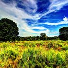 Wahner Heide HDR