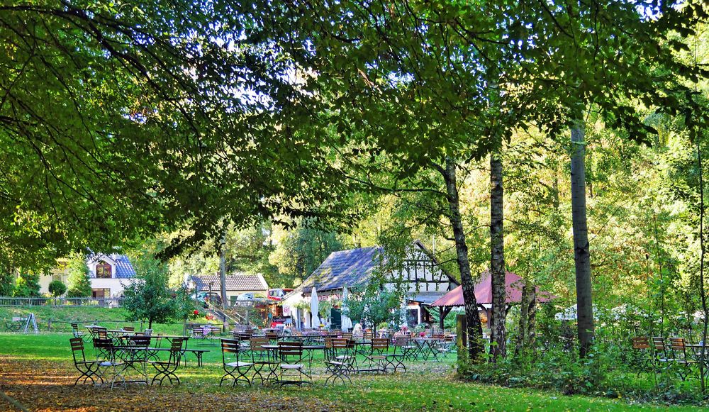 Wahner Heide - Heidekönig