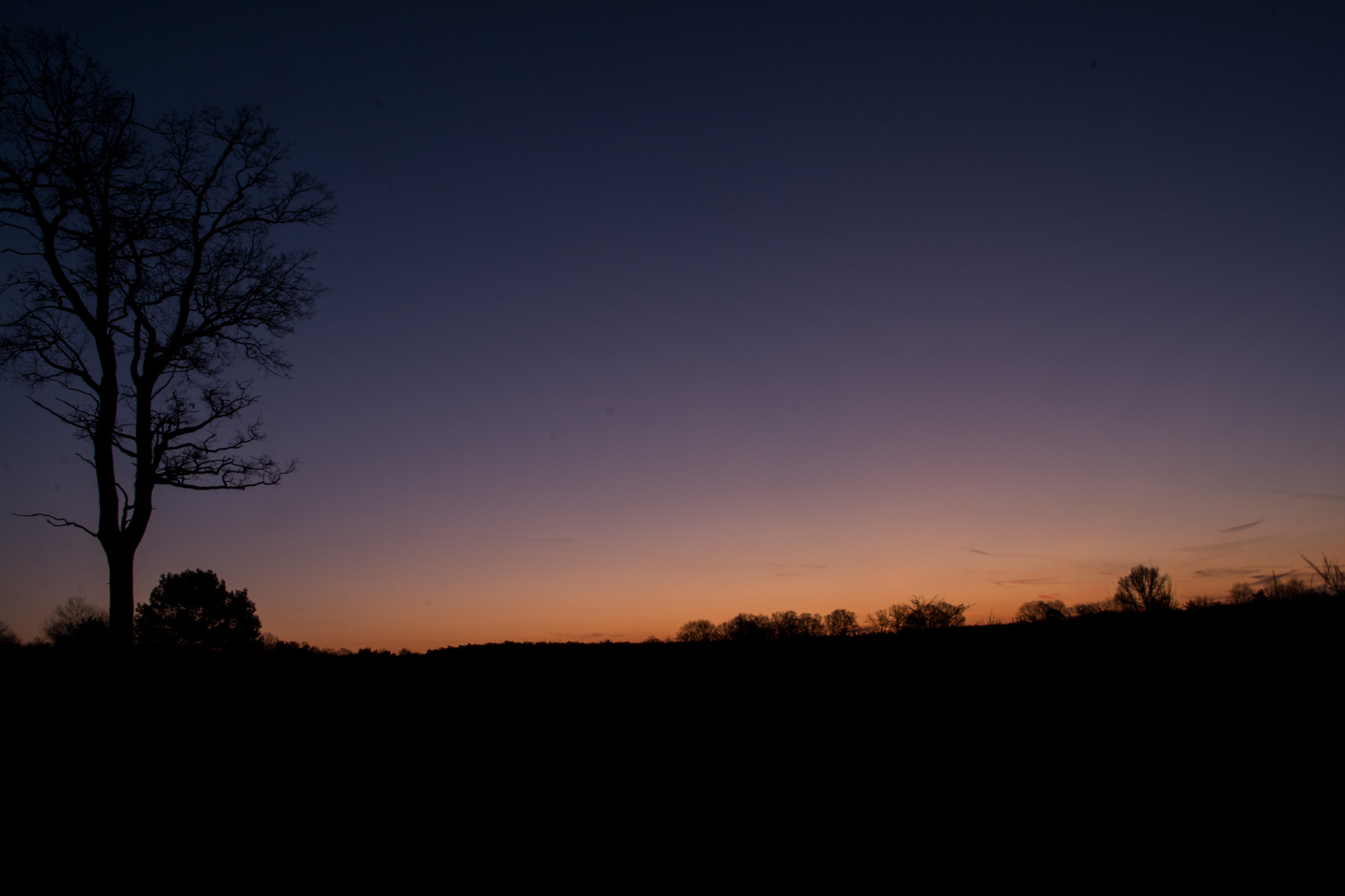 Wahner Heide - Heute morgen - 7.30 h / -13 Grad!! Keine Handschuhe!!