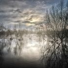 Wahner Heide Hochwasser