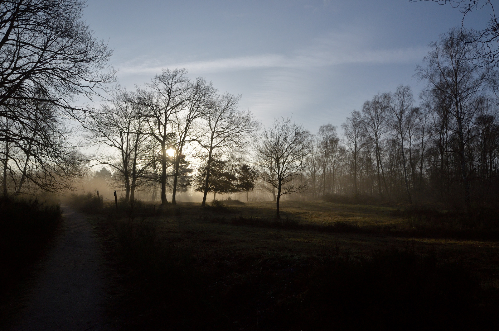 Wahner Heide Januar 2018