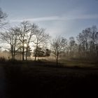 Wahner Heide Januar 2018