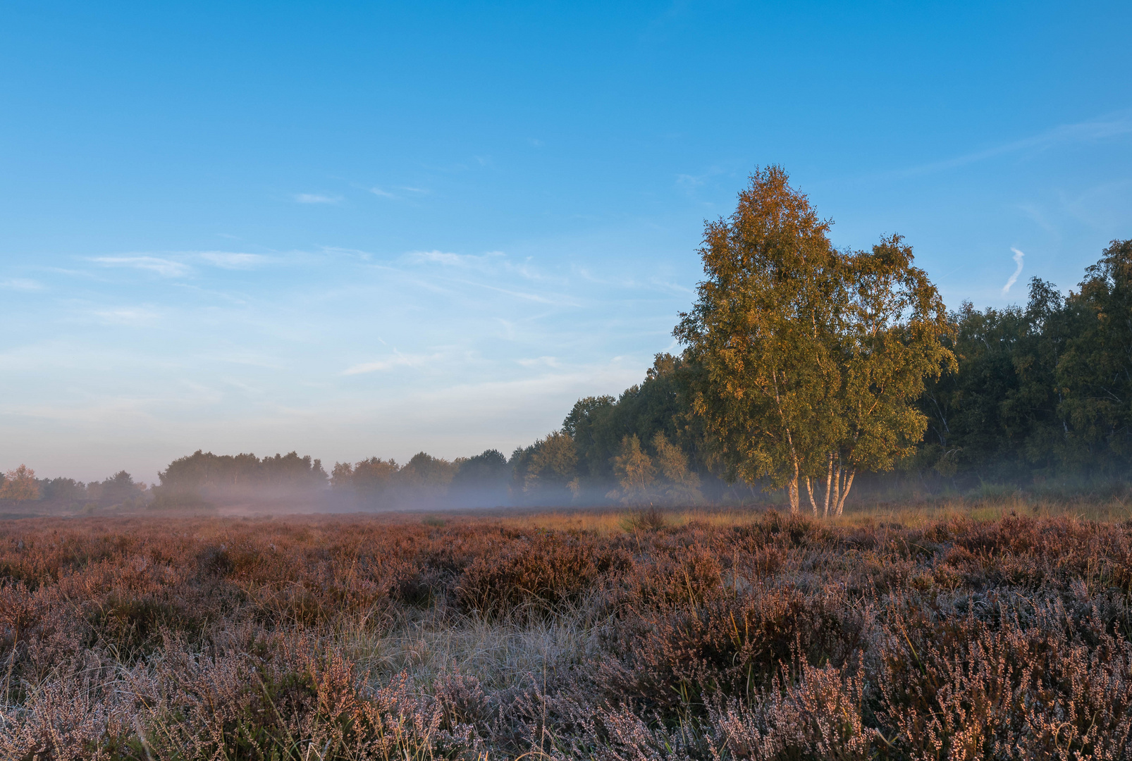 Wahner Heide Oktober 2018 Herbst