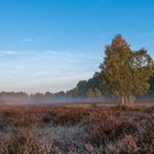 Wahner Heide Oktober 2018 Herbst