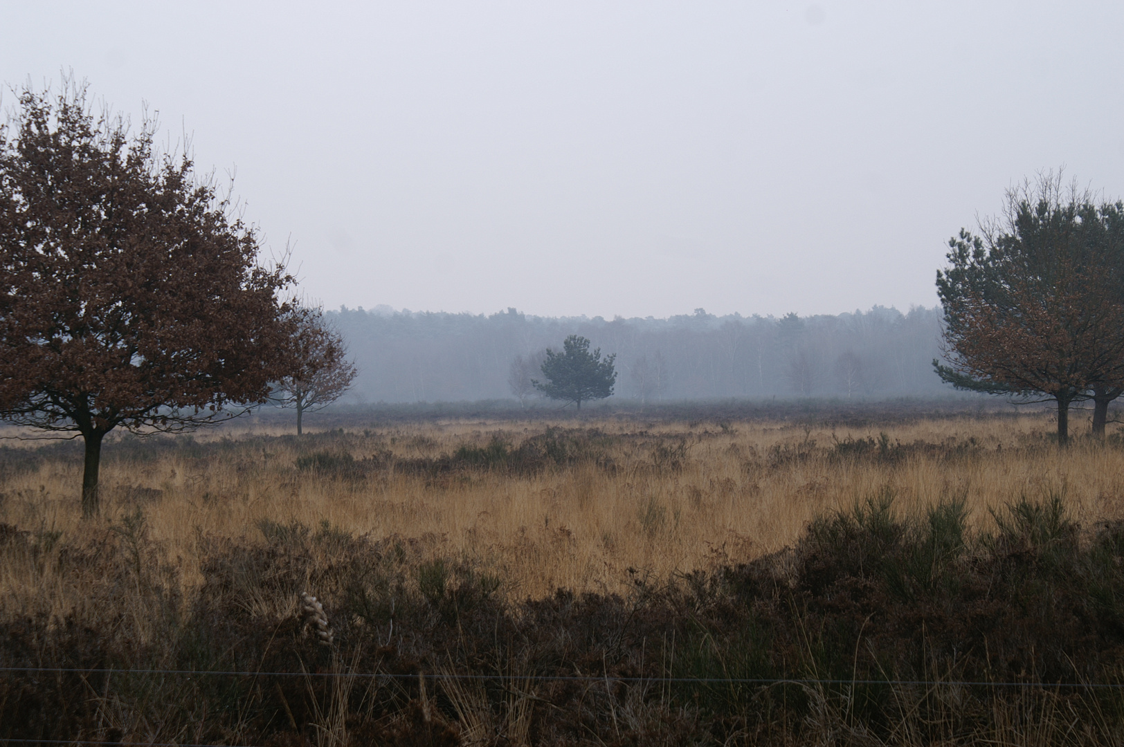 Wahner Heide Ostern (3)