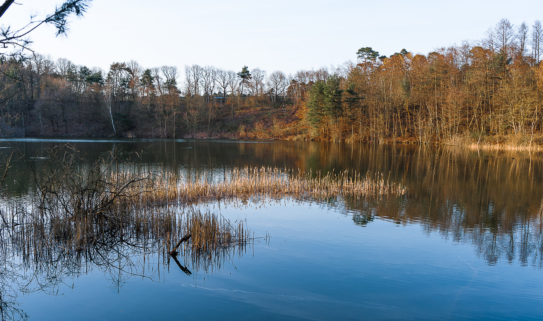 Wahnerheide